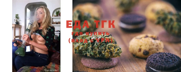индика Козельск