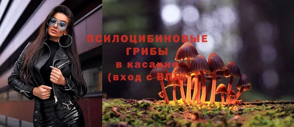 СК Кинешма