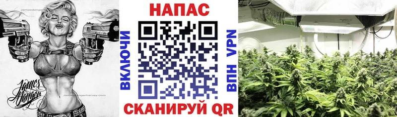 МАРИХУАНА White Widow  Купить  Иланский 